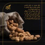 بادام زمینی ممتاز آستانه اشرفیه - Image 6