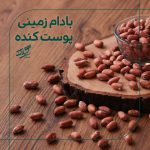 بادام زمینی ممتاز آستانه اشرفیه - Image 4