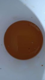عسل طبیعی گون درجه یک فردوس 28 کیلویی - Image 3