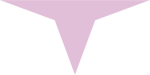 Henectus tincidunt - Image 4